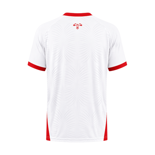 2026 World Cup AL-Naimat Jordan Soccer Jersey Player Version Match Version - No.11 Home White and Away Red