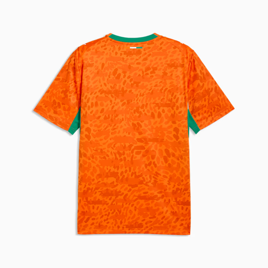 2026 World Cup Côte d'Ivoire Soccer Jersey Player Version Match Version