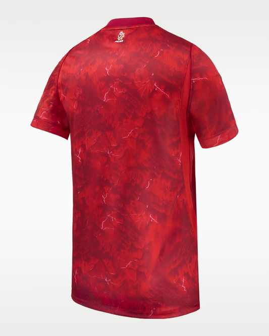 2026 World Cup Poland Soccer Jersey Player Version Match Version