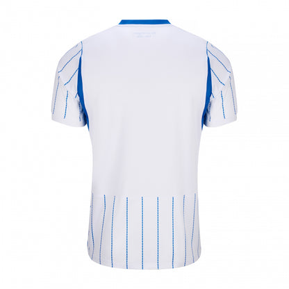 Premier League Kits – Brighton & Hove Albion Kits