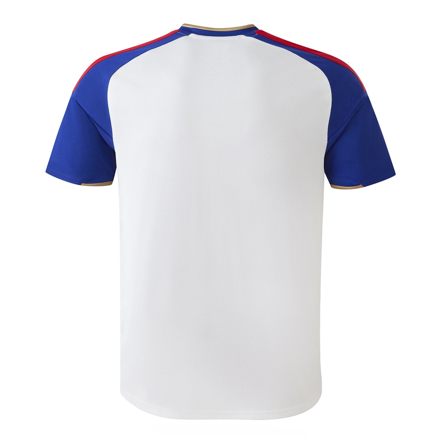 Ligue 1 Jerseys – Olympique Lyonnais Jerseys