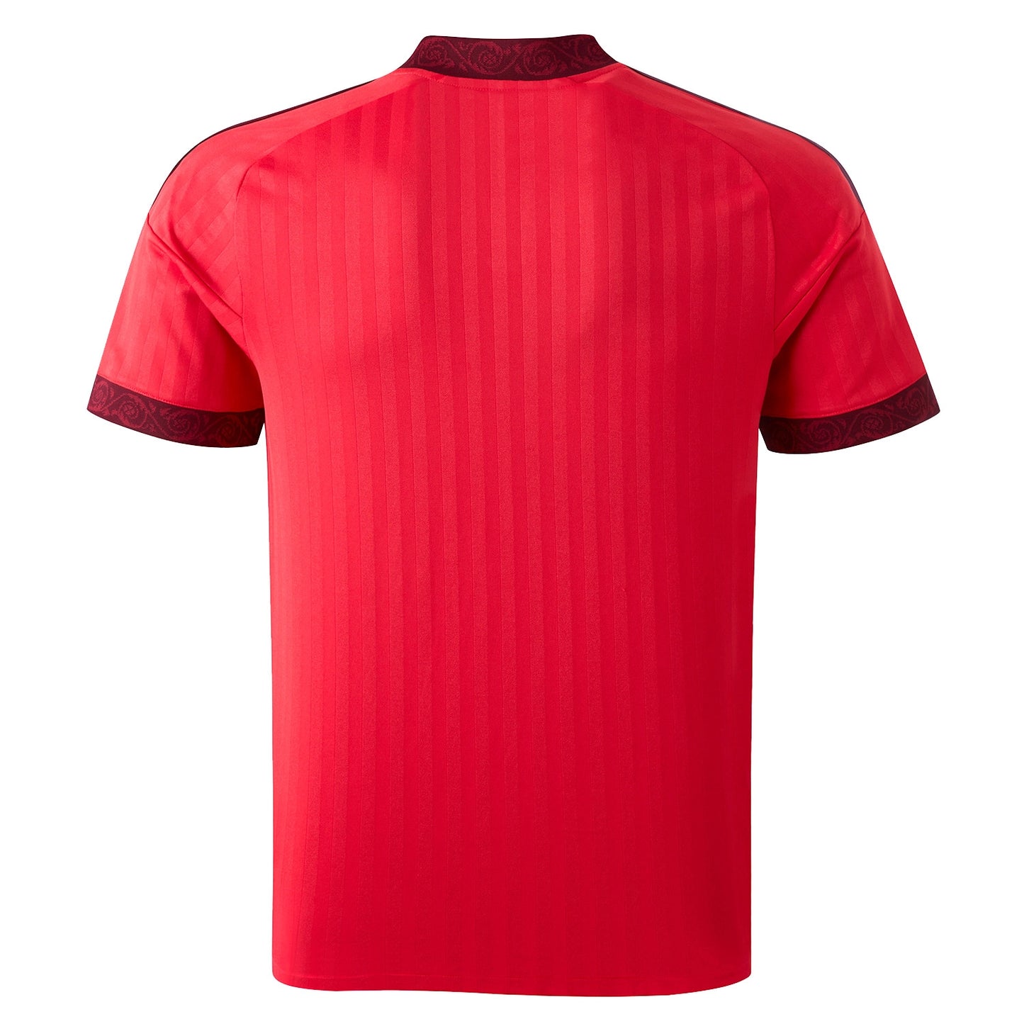 Ligue 1 Jerseys – Olympique Lyonnais Jerseys