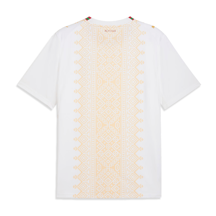 2026 World Cup Morocco Soccer Jersey Player Version  Match Version