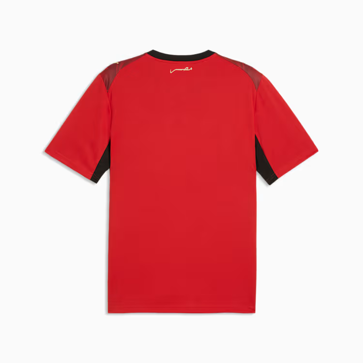 2026 World Cup Egypt Soccer Jersey Player Version  Match Version