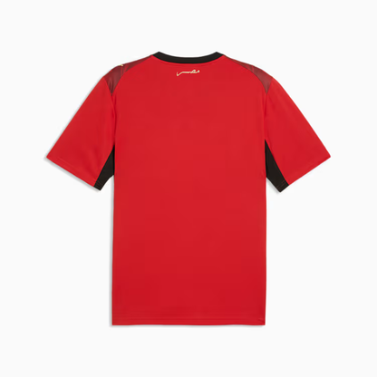 2026 World Cup Egypt Soccer Jersey Player Version  Match Version