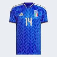 2026 World Cup Chiesa Italy Soccer Jersey Player Version  Match Version - No.14 Home Blue and Away White