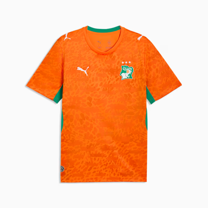 2026 World Cup Côte d'Ivoire Soccer Jersey Player Version  Match Version