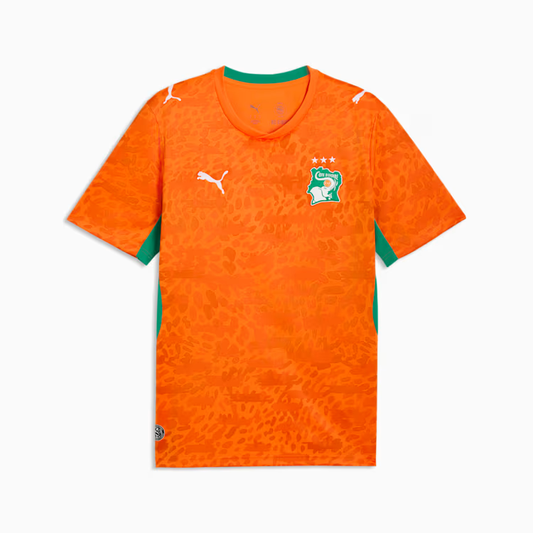 2026 World Cup Côte d'Ivoire Soccer Jersey Player Version  Match Version