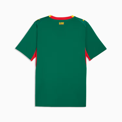 2026 World Cup Mané Senegal Soccer Jersey Player Version  Match Version - No.10 Home White and Away Green