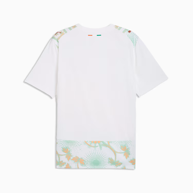 2026 World Cup Côte d'Ivoire Soccer Jersey Player Version  Match Version